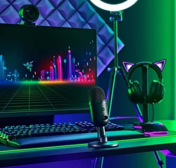Razer Seiren V2 X USB Mikrofon Schwarz für Streaming
